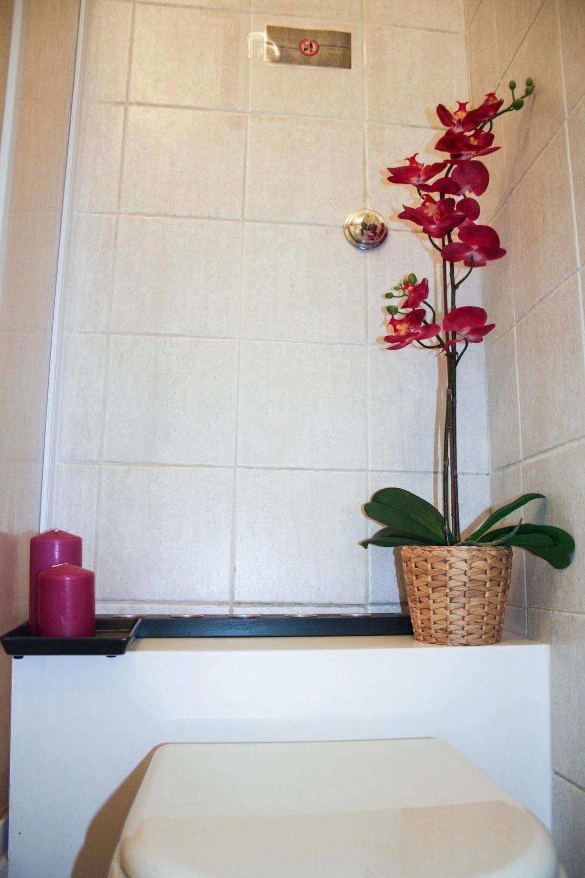 Salotto Vaticano Bed & Breakfast